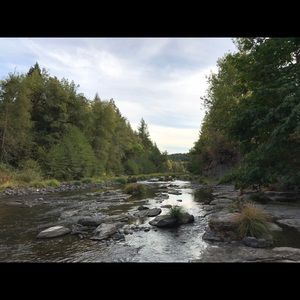 Meet your Posher, Angie